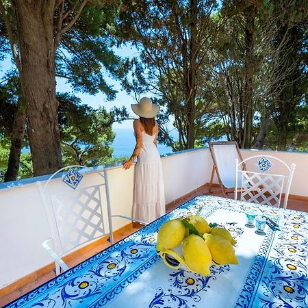 Casa Schiattarella Capri 호텔 외부 사진