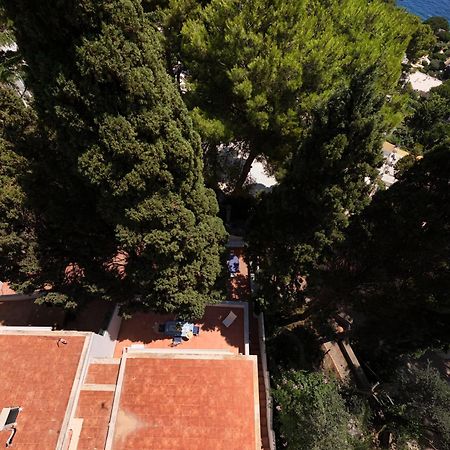 Casa Schiattarella Capri 호텔 외부 사진