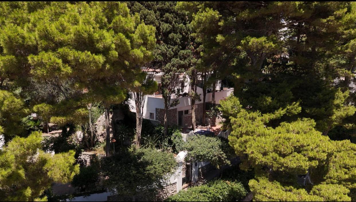 Casa Schiattarella Capri 호텔 외부 사진